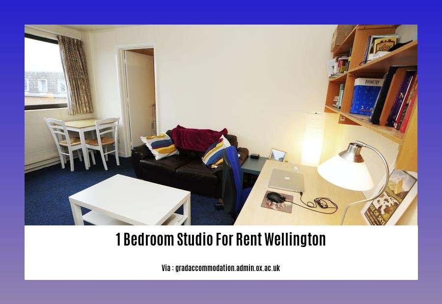 1 bedroom studio for rent wellington