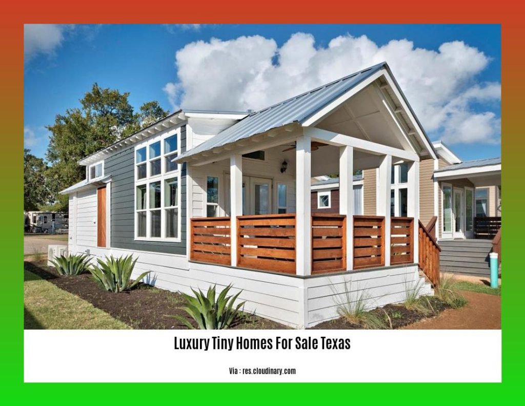 Discover the Allure of Luxury Tiny Homes for Sale in Texas - Wave Sold