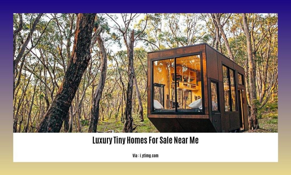 Discover the Ultimate Luxury Tiny Homes for Sale Near Me - Unbeatable ...