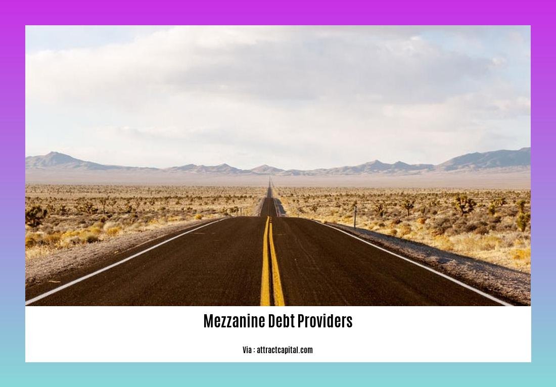 Mezzanine debt providers