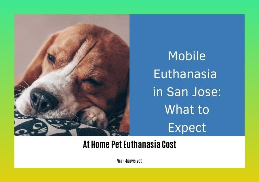 at home pet euthanasia cost