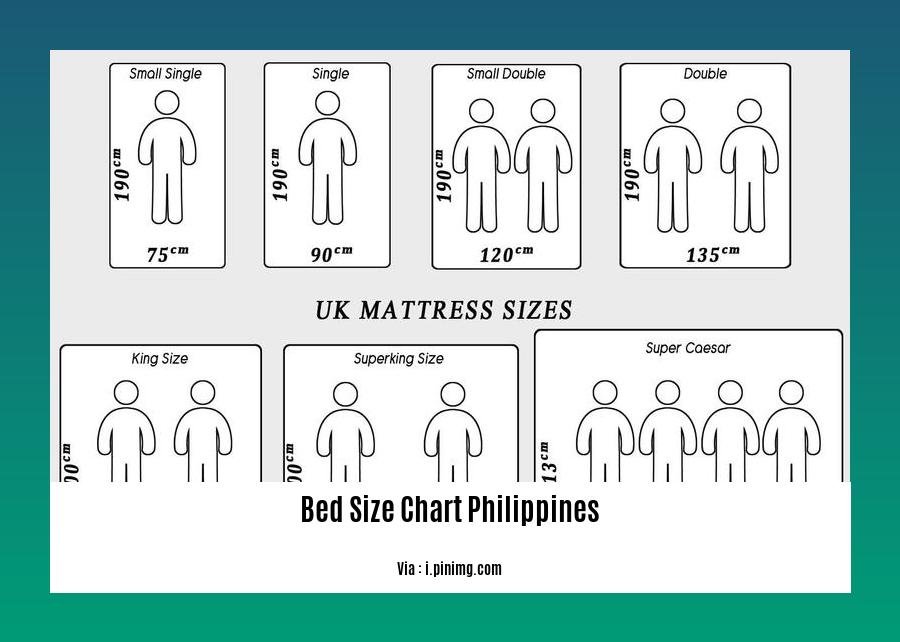 bed size chart philippines
