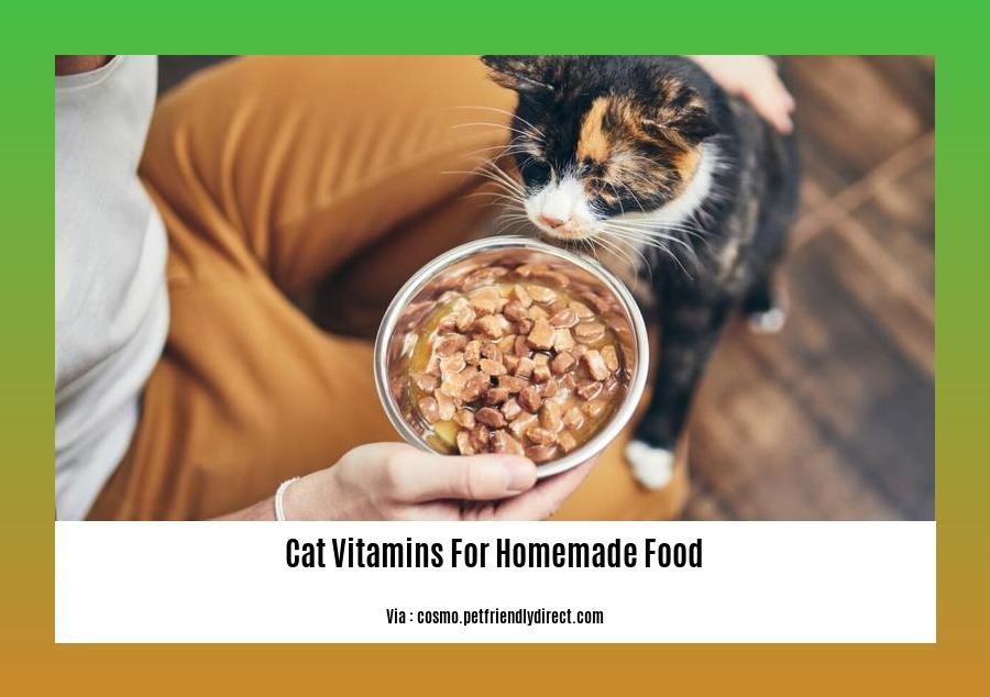 cat vitamins for homemade food