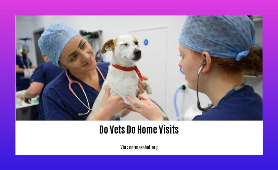 do vets do home visits