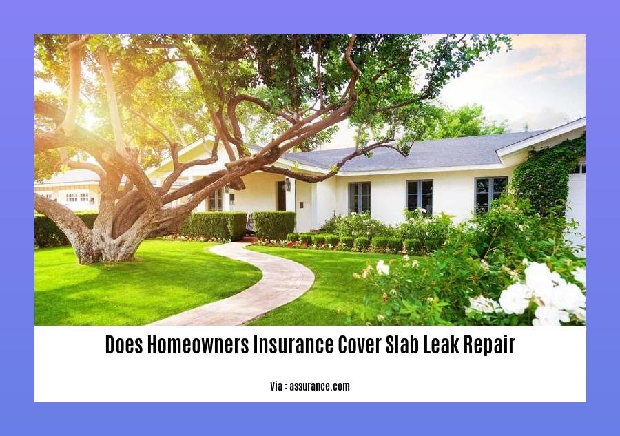 does homeowners insurance cover slab leak repair