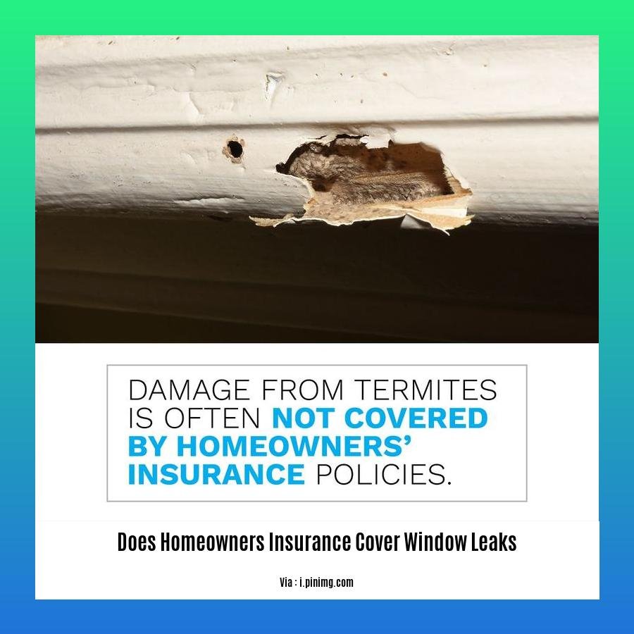 does homeowners insurance cover window leaks