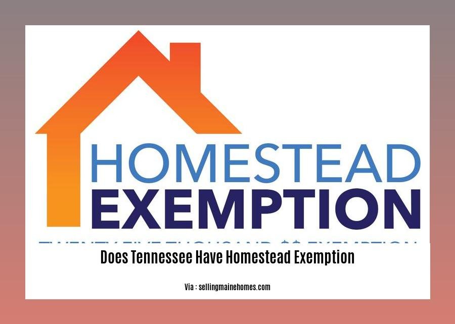 does tennessee have homestead exemption