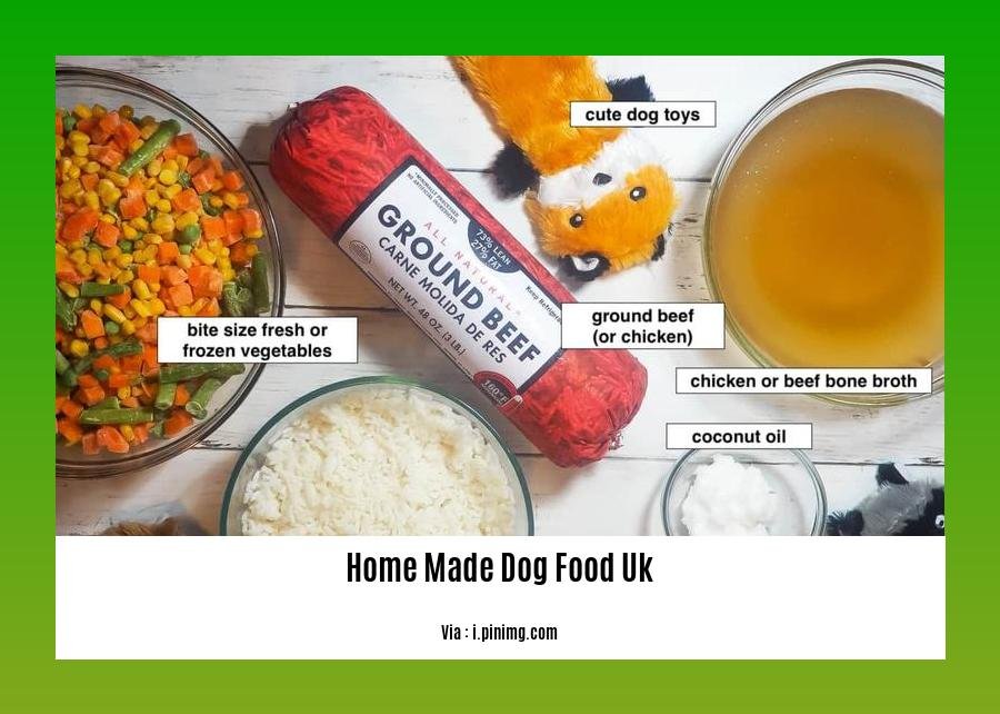 home made dog food uk