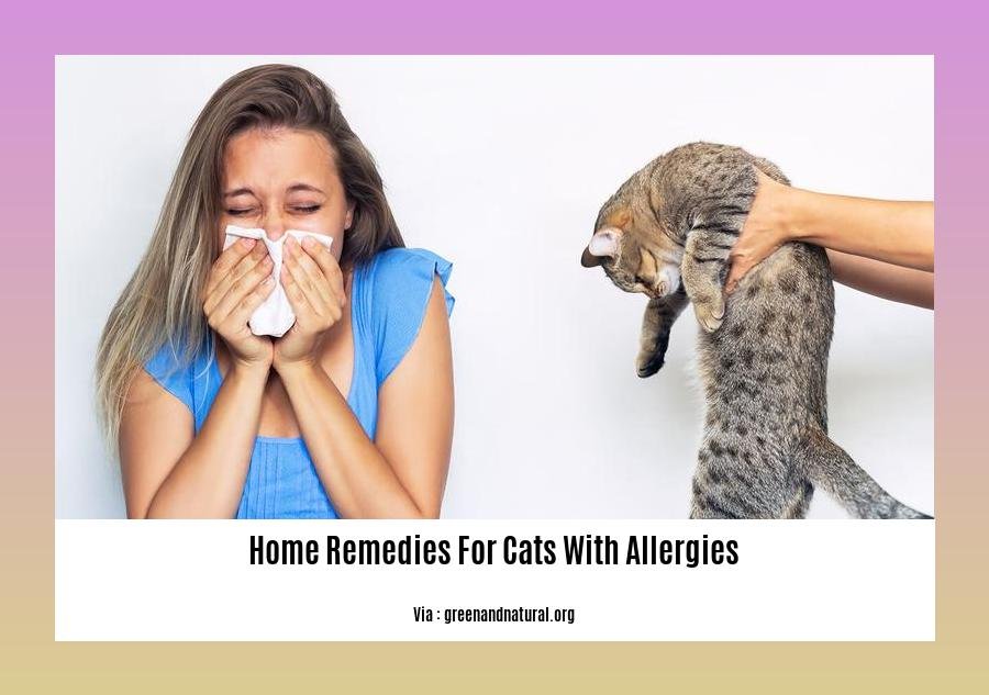 home remedies for cats with allergies