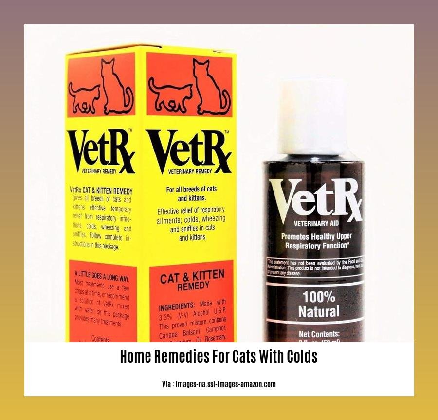 home remedies for cats with colds