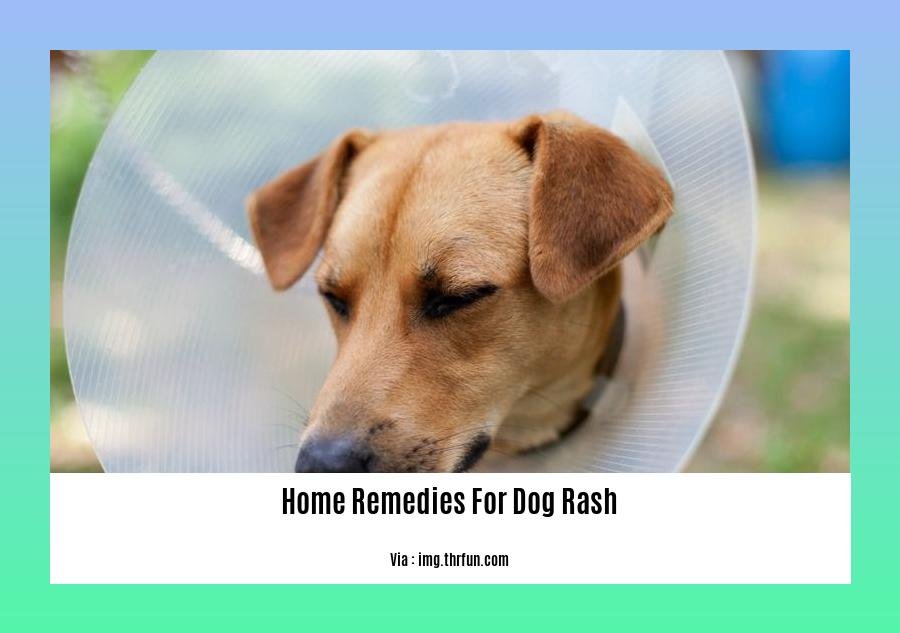 home remedies for dog rash