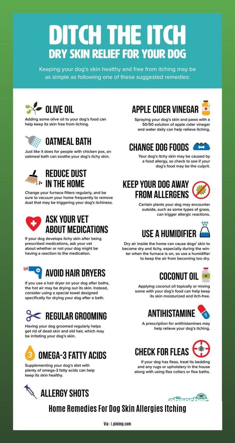Home Remedies for Dog Skin Allergies Itching: Natural Relief for Canine