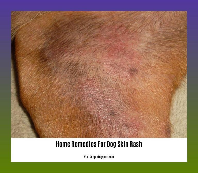 Home Remedies for Dog Skin Rash: Soothe Your Furry Friend's Irritated ...