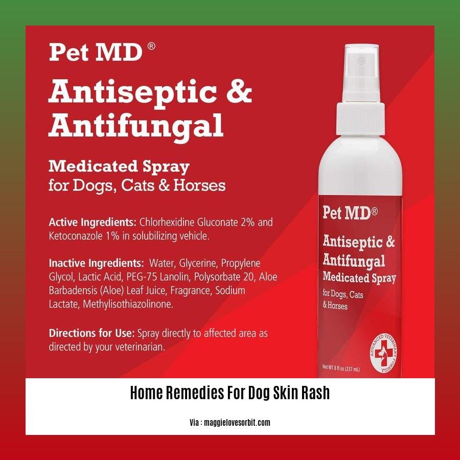 home remedies for dog skin rash