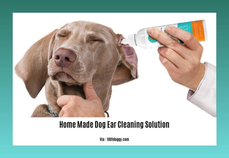 7 of the best ear cleaners for dogs in 2024 - Betterpet