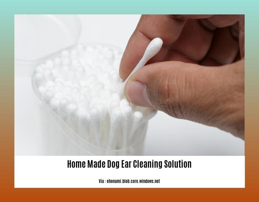 home made dog ear cleaning solution
