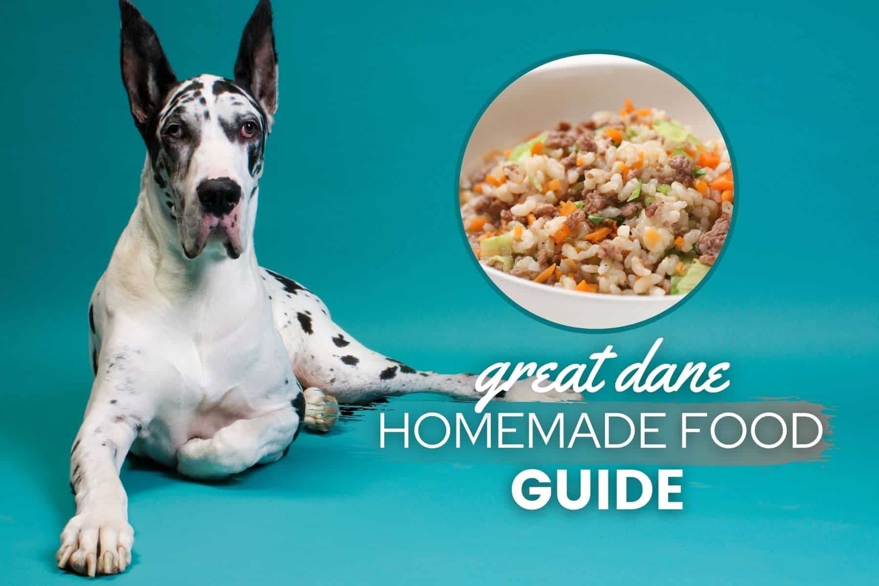 balanced homemade dog food calculator