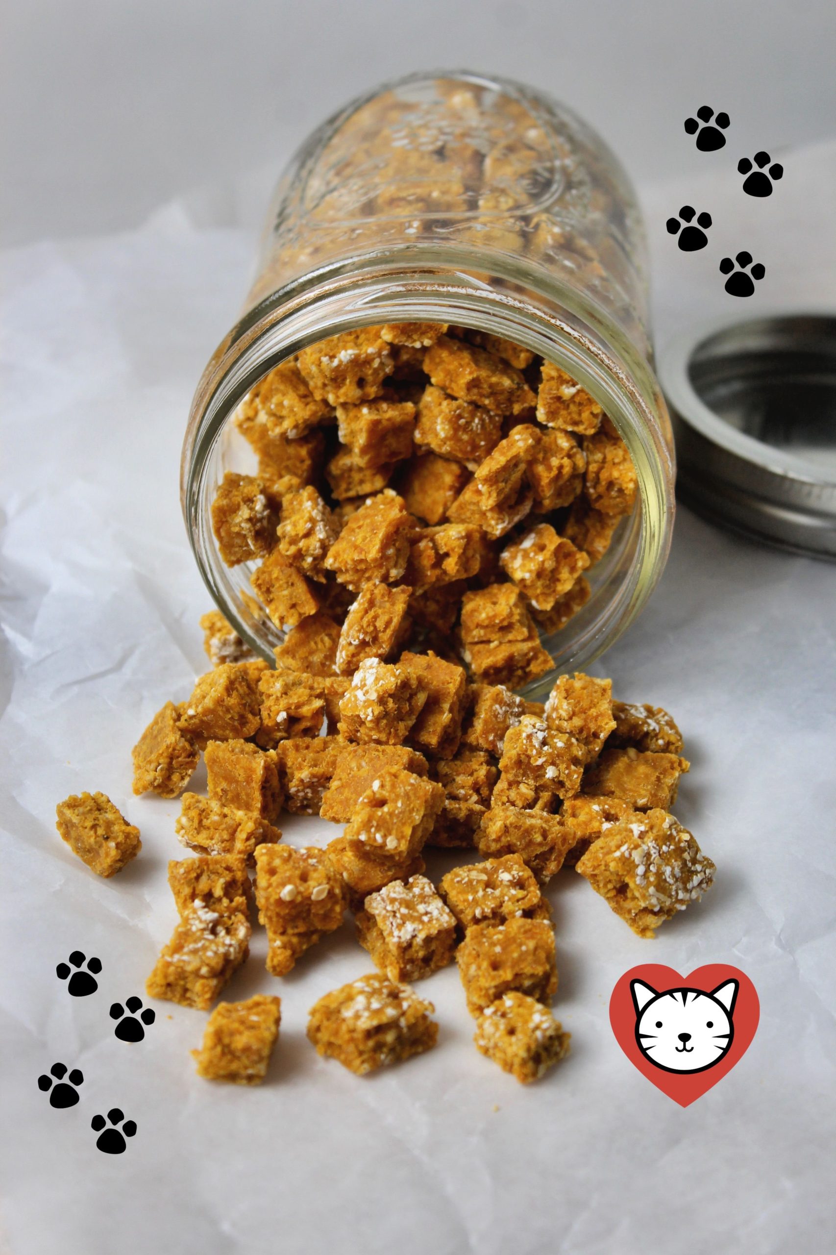 best homemade cat food recipe