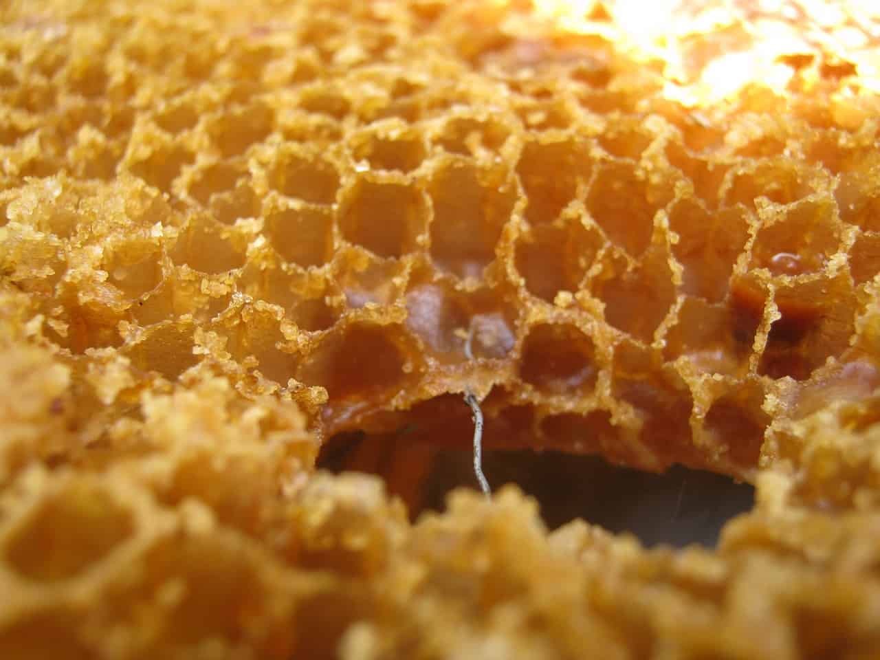 home remedies for canker sores