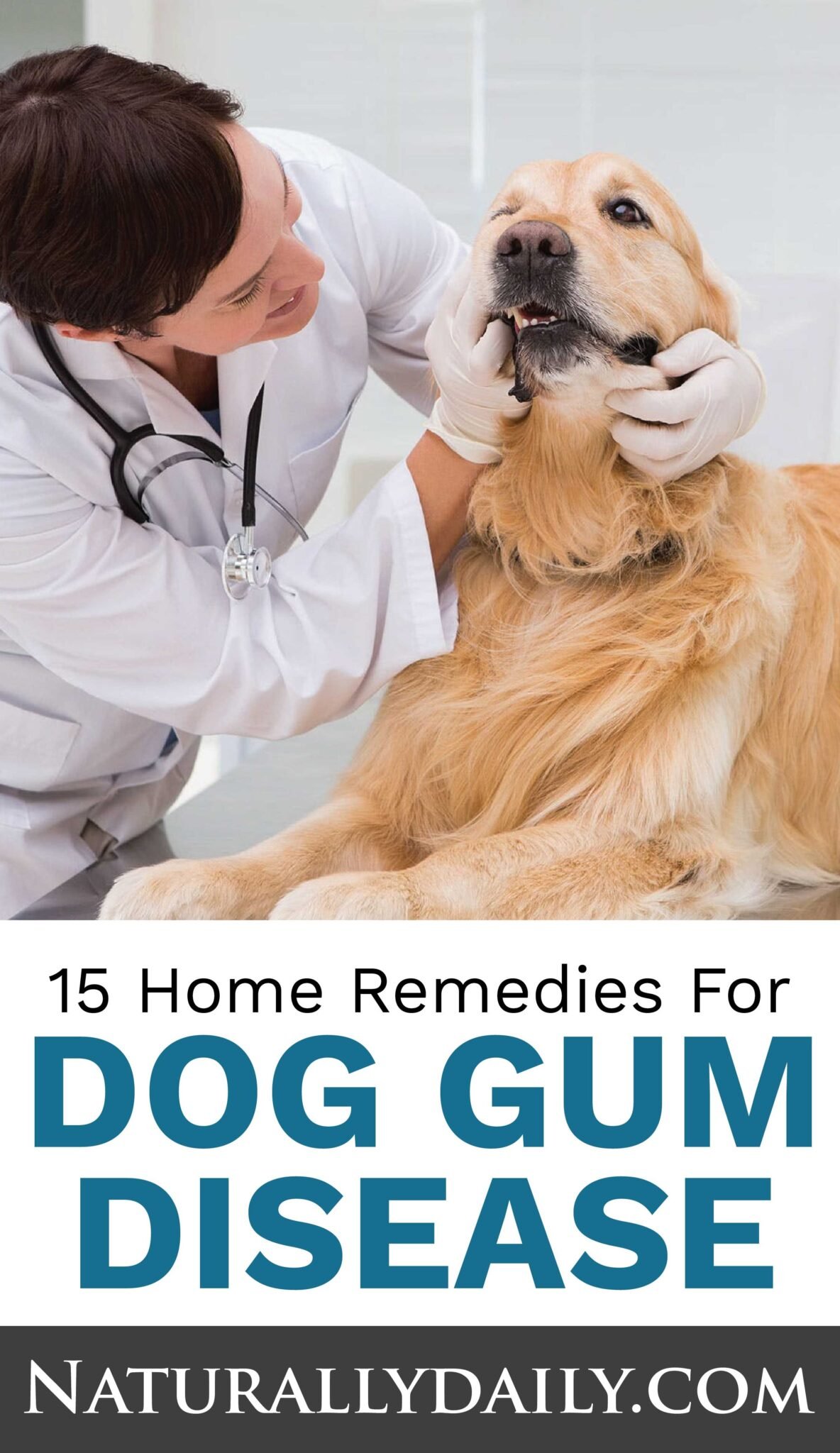 home remedies for periodontal disease