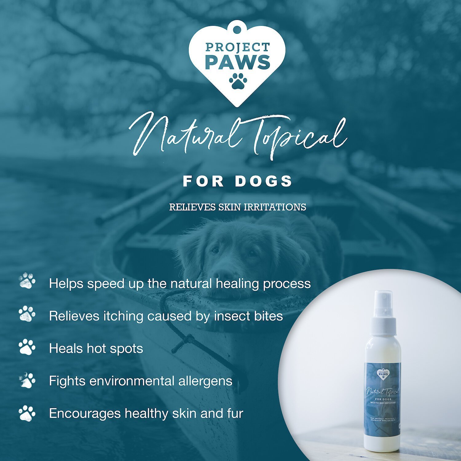 home remedies for skin irritation on dogs