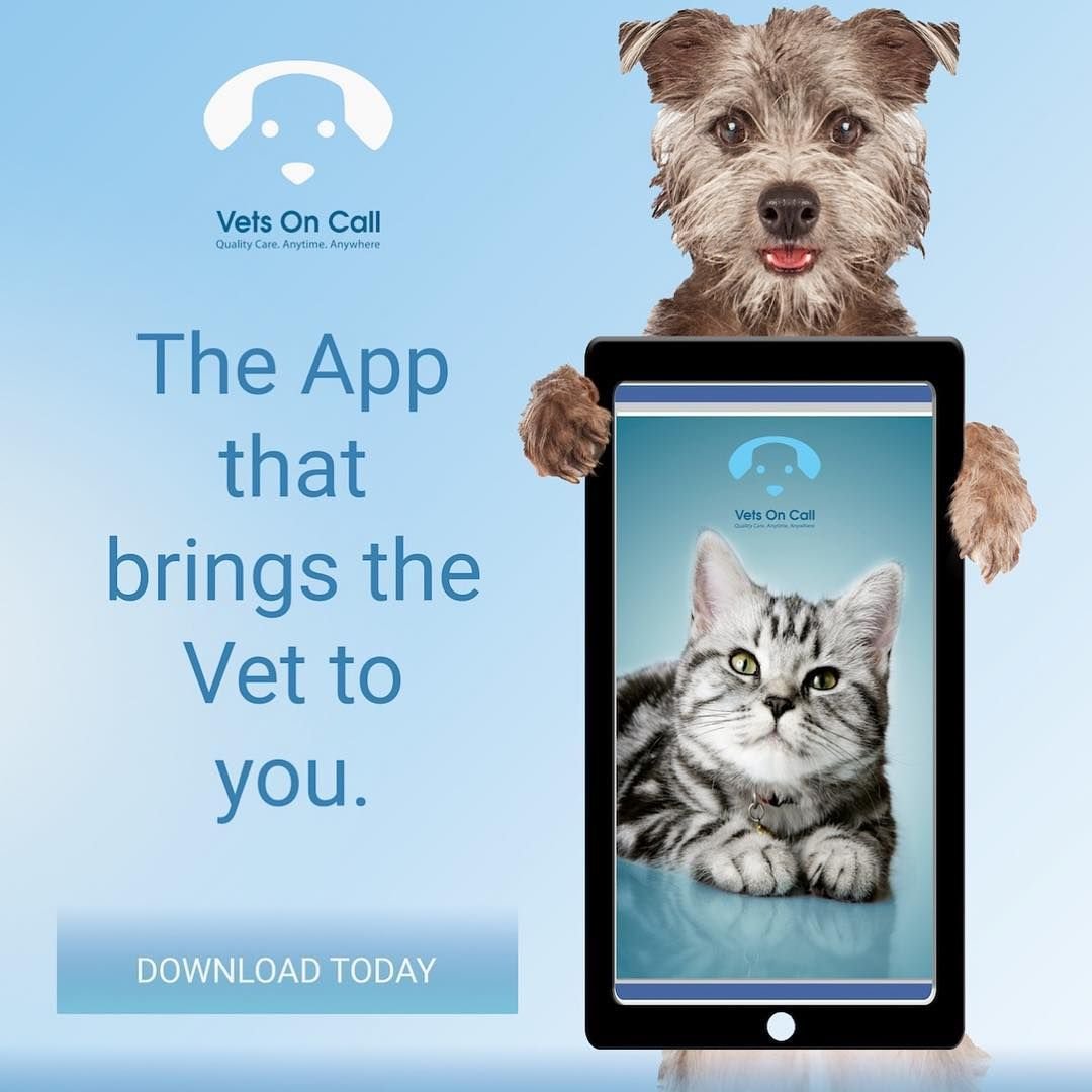home visit vet melbourne