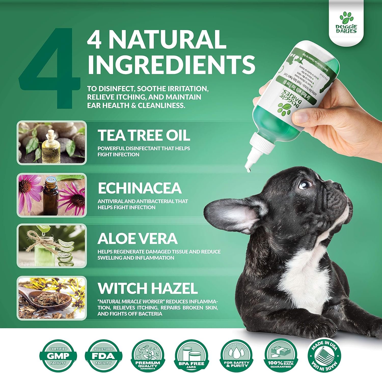 homemade dog ear cleaner apple cider vinegar