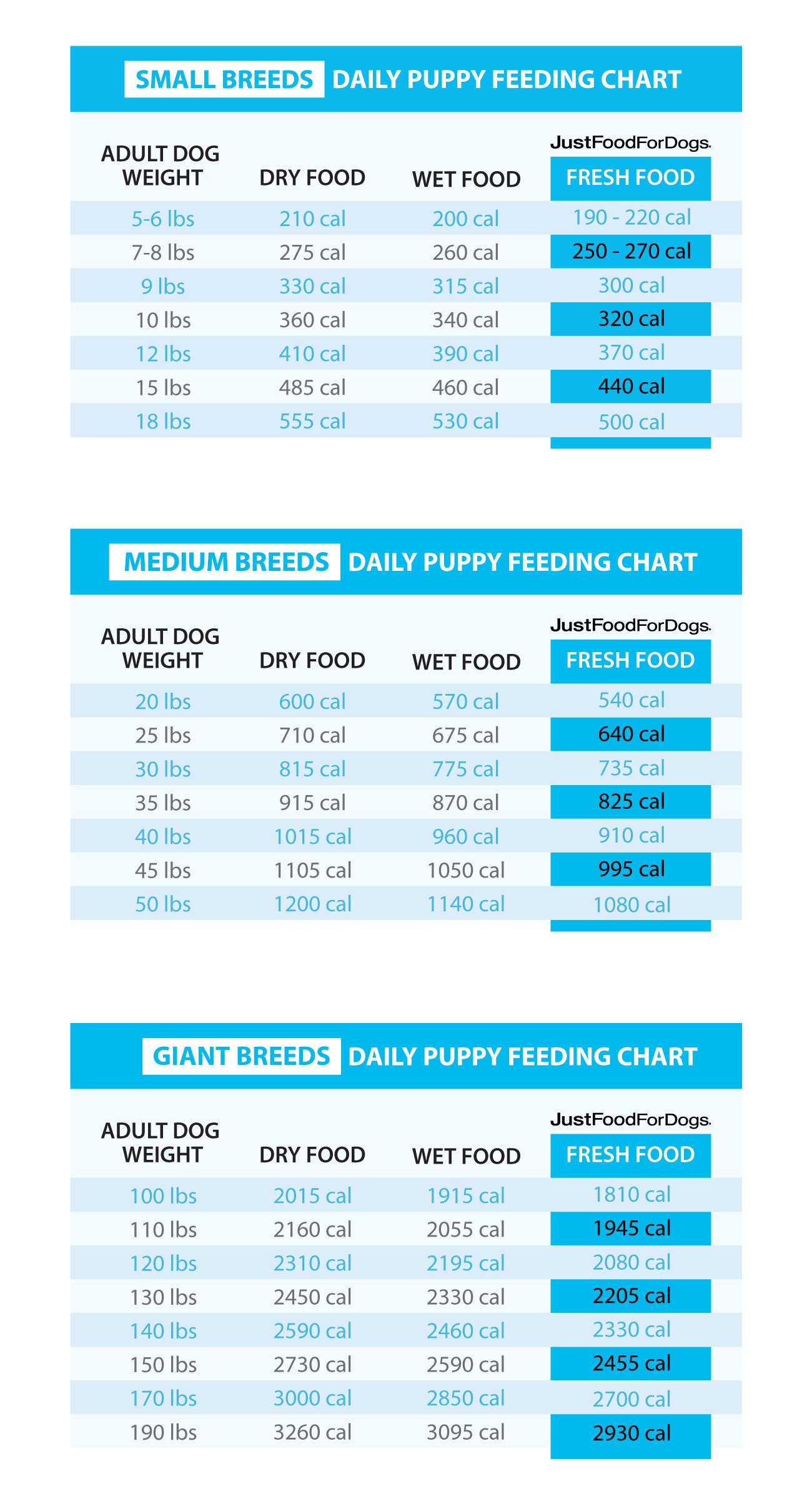homemade dog food calculator