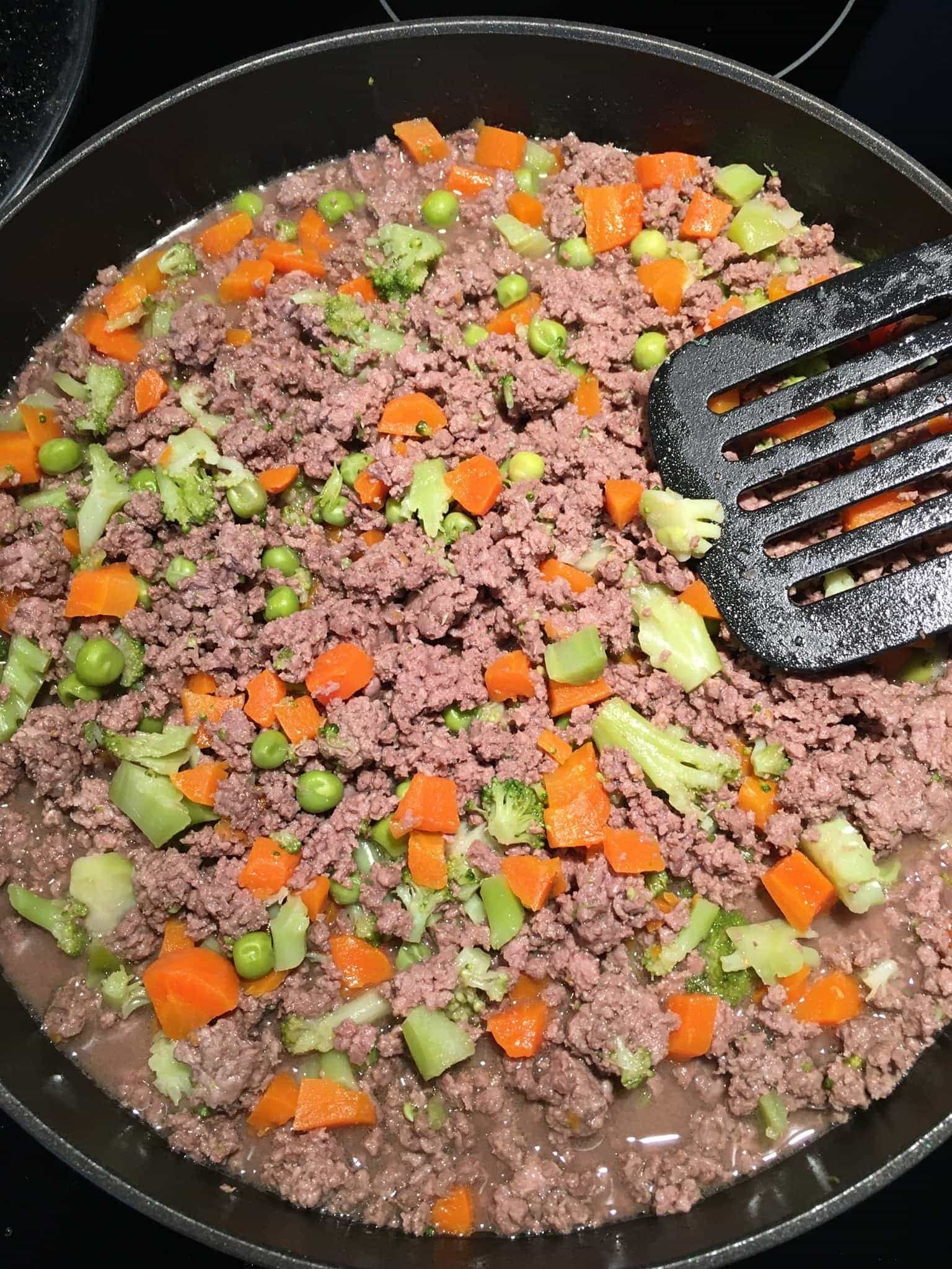 homemade dog food crockpot