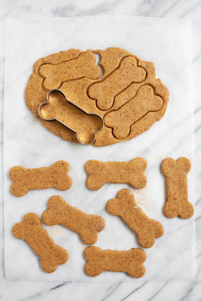 Homemade Dog Treats No Bake: A Guide to Delicious and Nutritious