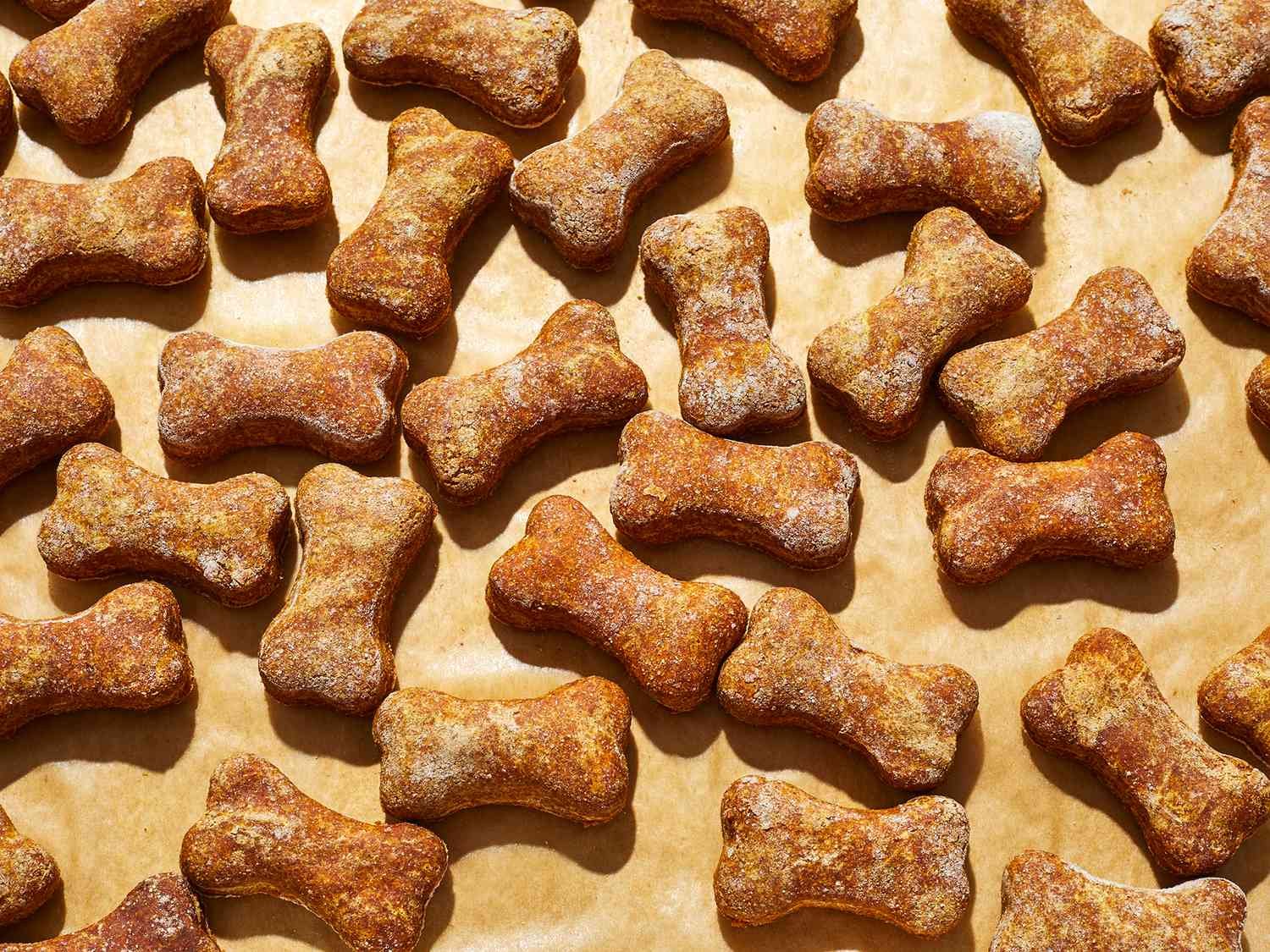 homemade dog treats pumpkin peanut butter