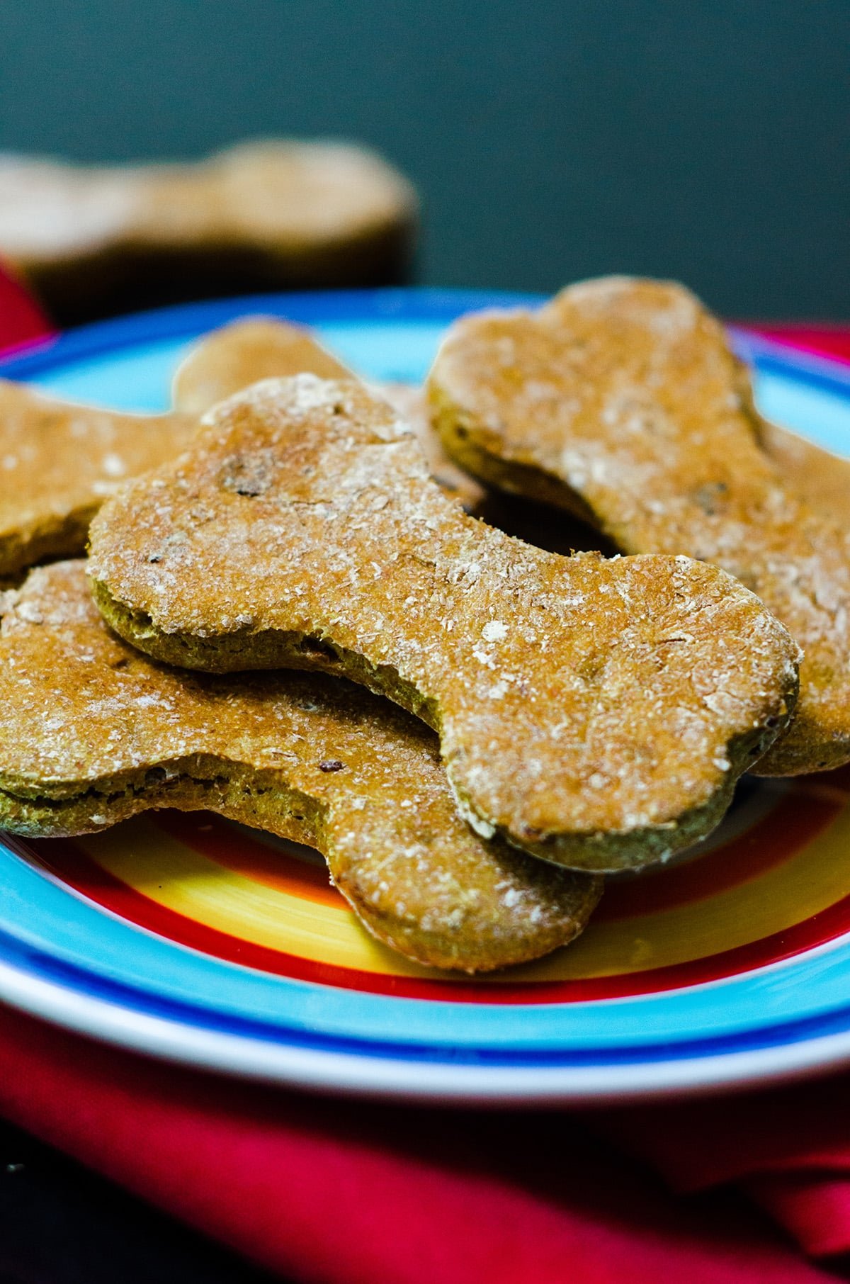 homemade dog treats pumpkin peanut butter