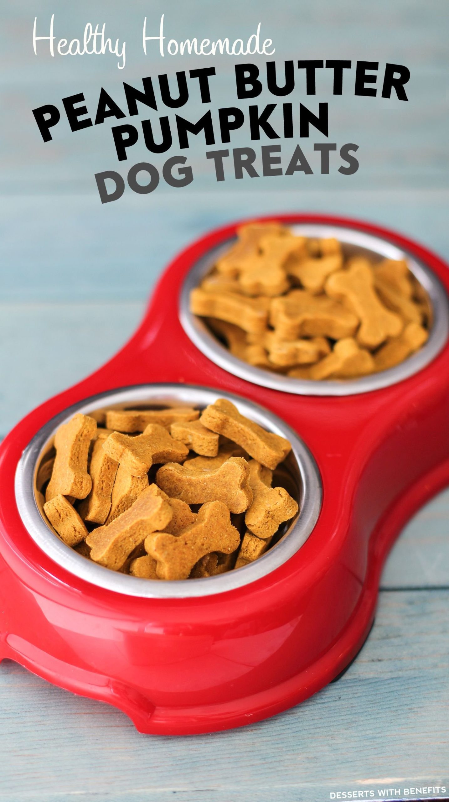 homemade dog treats that don t need to be refrigerated