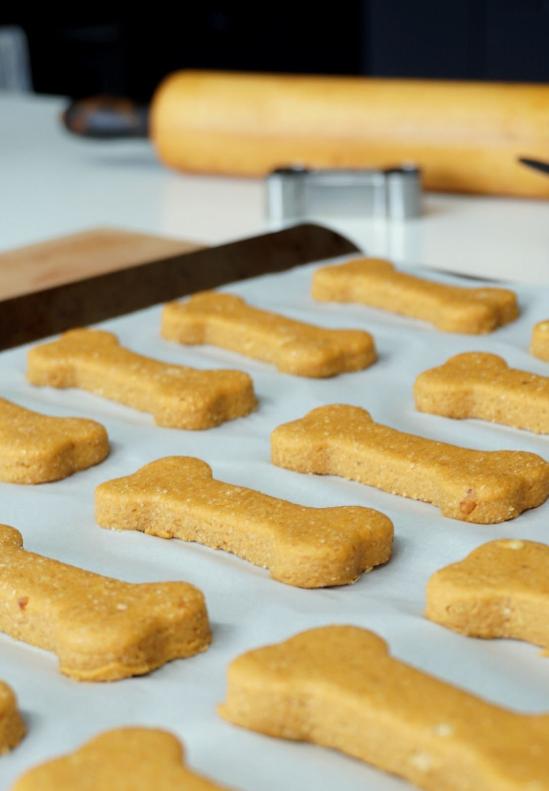 homemade dog treats