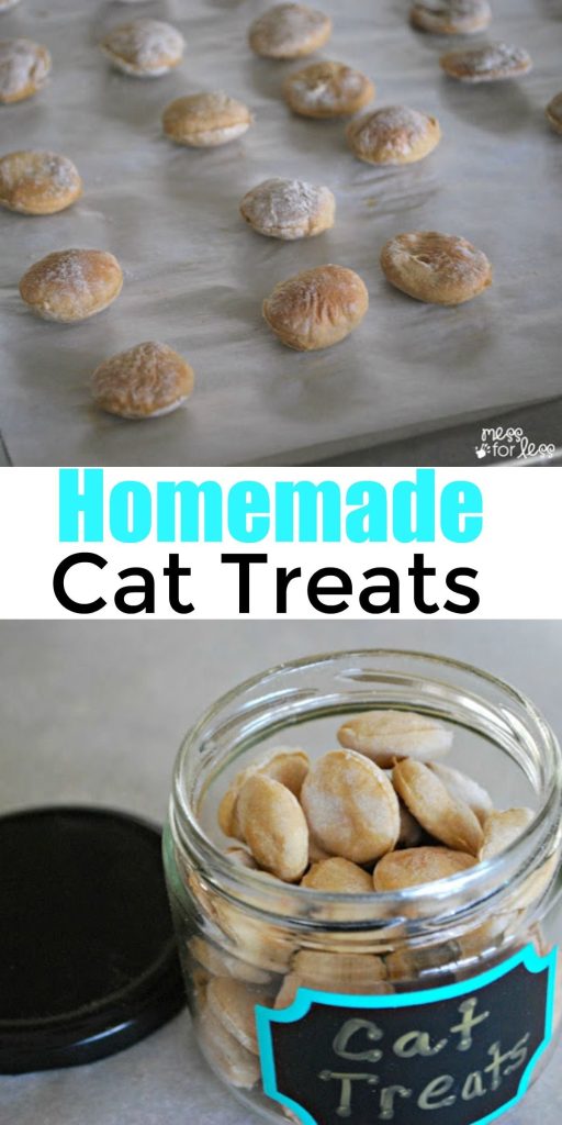 - Homemade Kitten Food Recipe: A Guide to Nourishing Your Feline Friend
