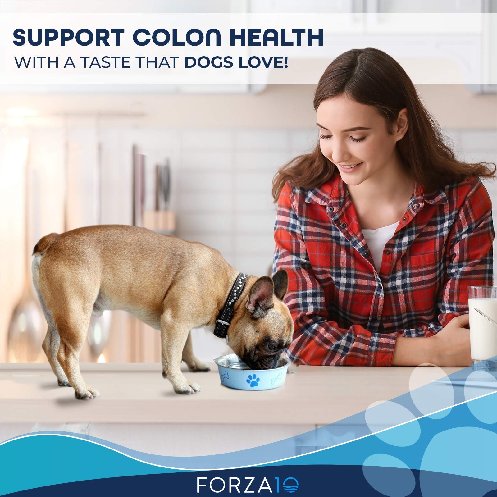 homemade diet for dogs with colitis