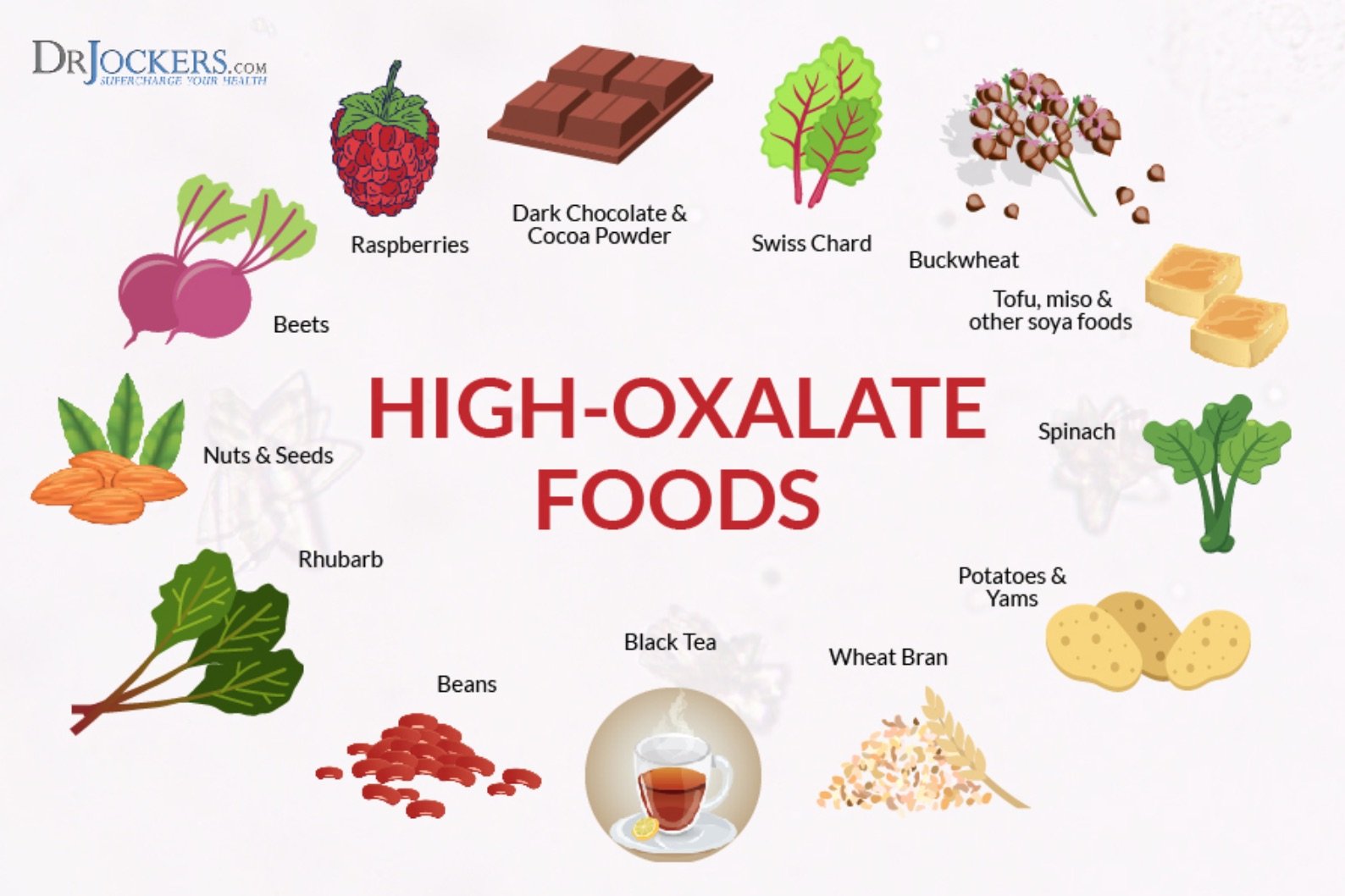homemade dog food for calcium oxalate stones