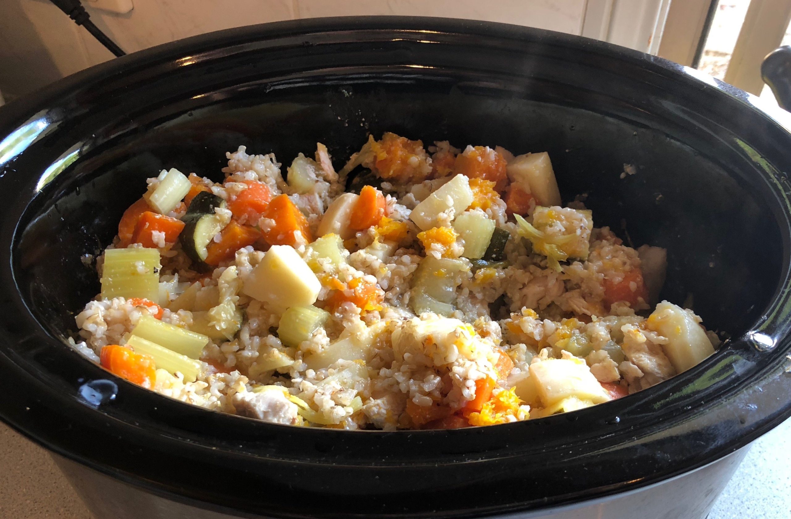 homemade dog food for congestive heart failure