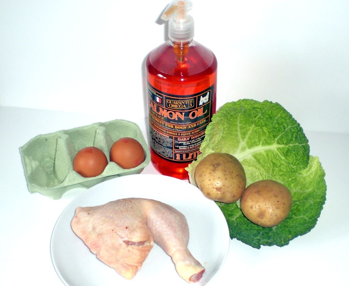 homemade dog food for kidney problems