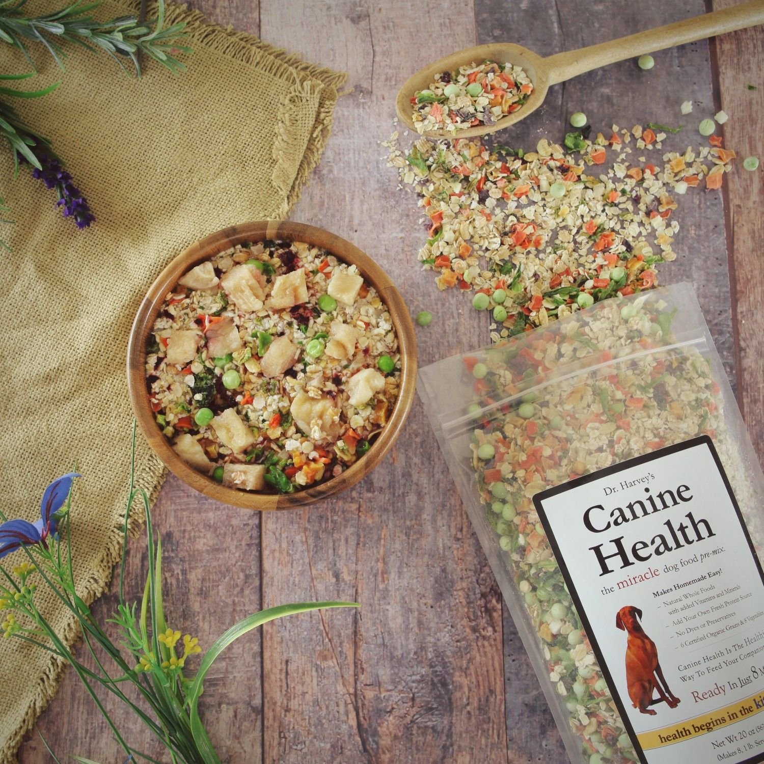 homemade dog food for kidney problems