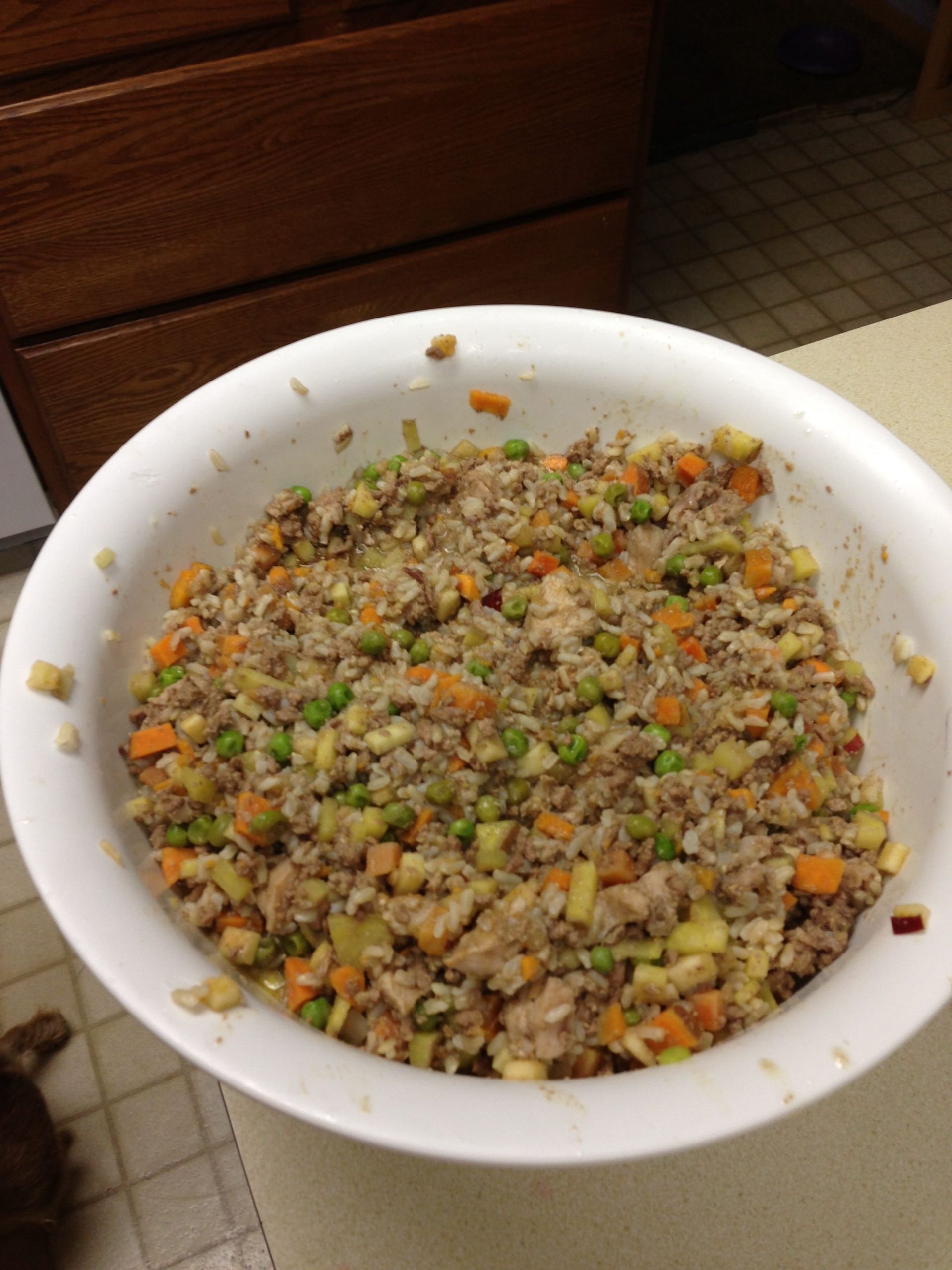 homemade dog food recipes crockpot