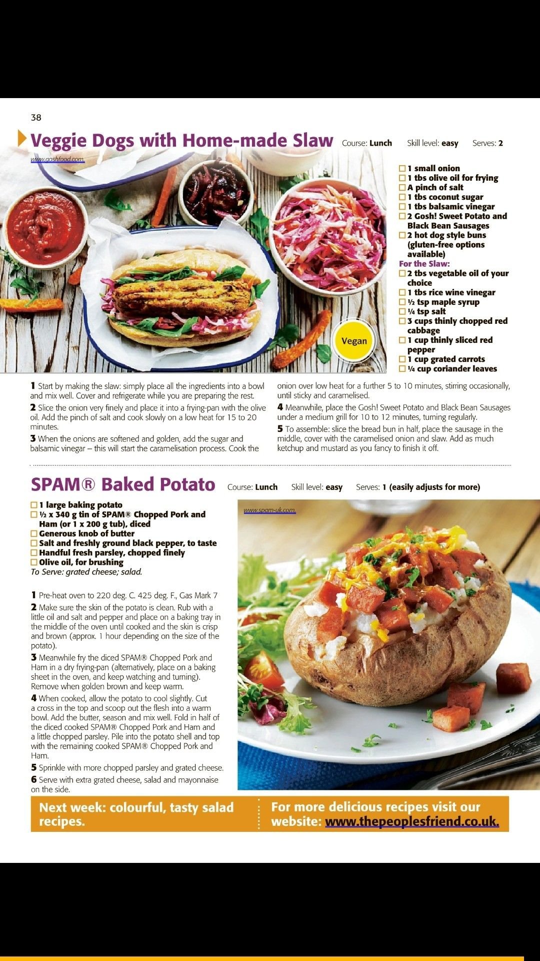 homemade dog food recipes vegetarian