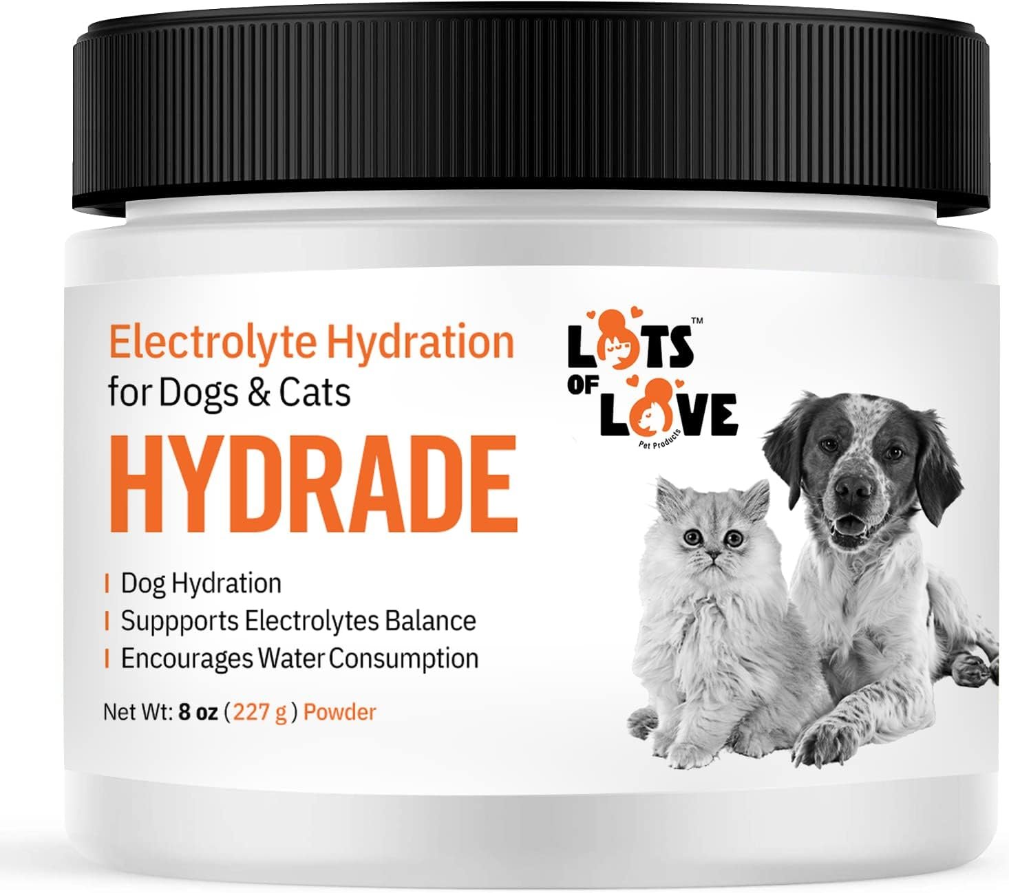 homemade electrolytes for cats