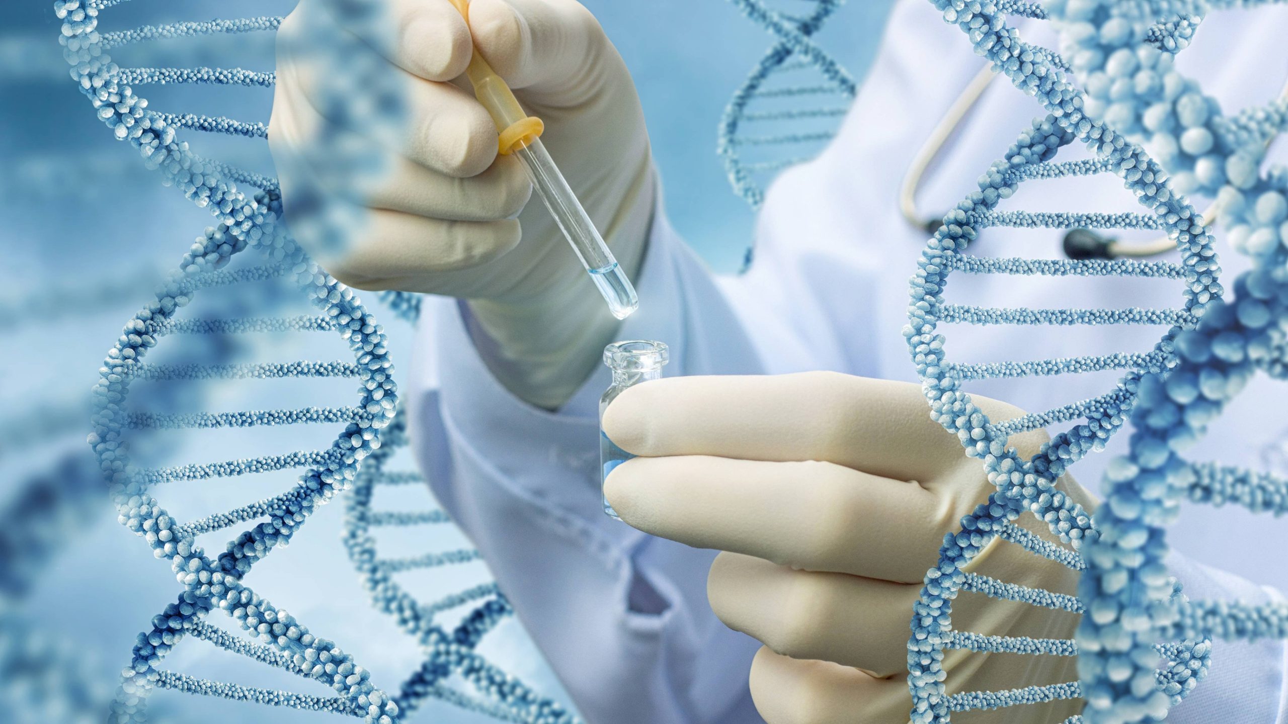 how to make dna test at home