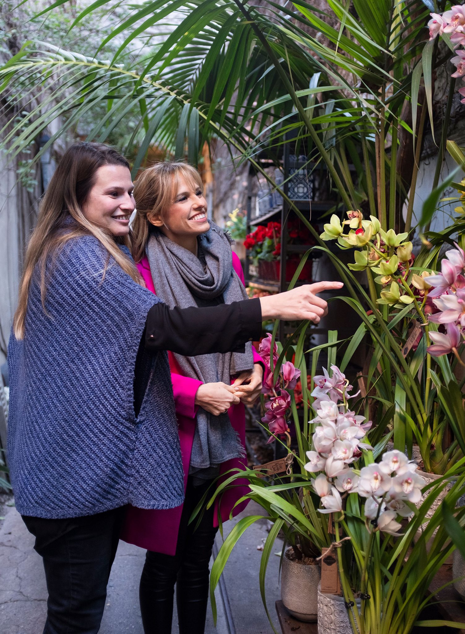 Guía Práctica Para Cuidar una Orquídea en Casa y Hacerla Florecer