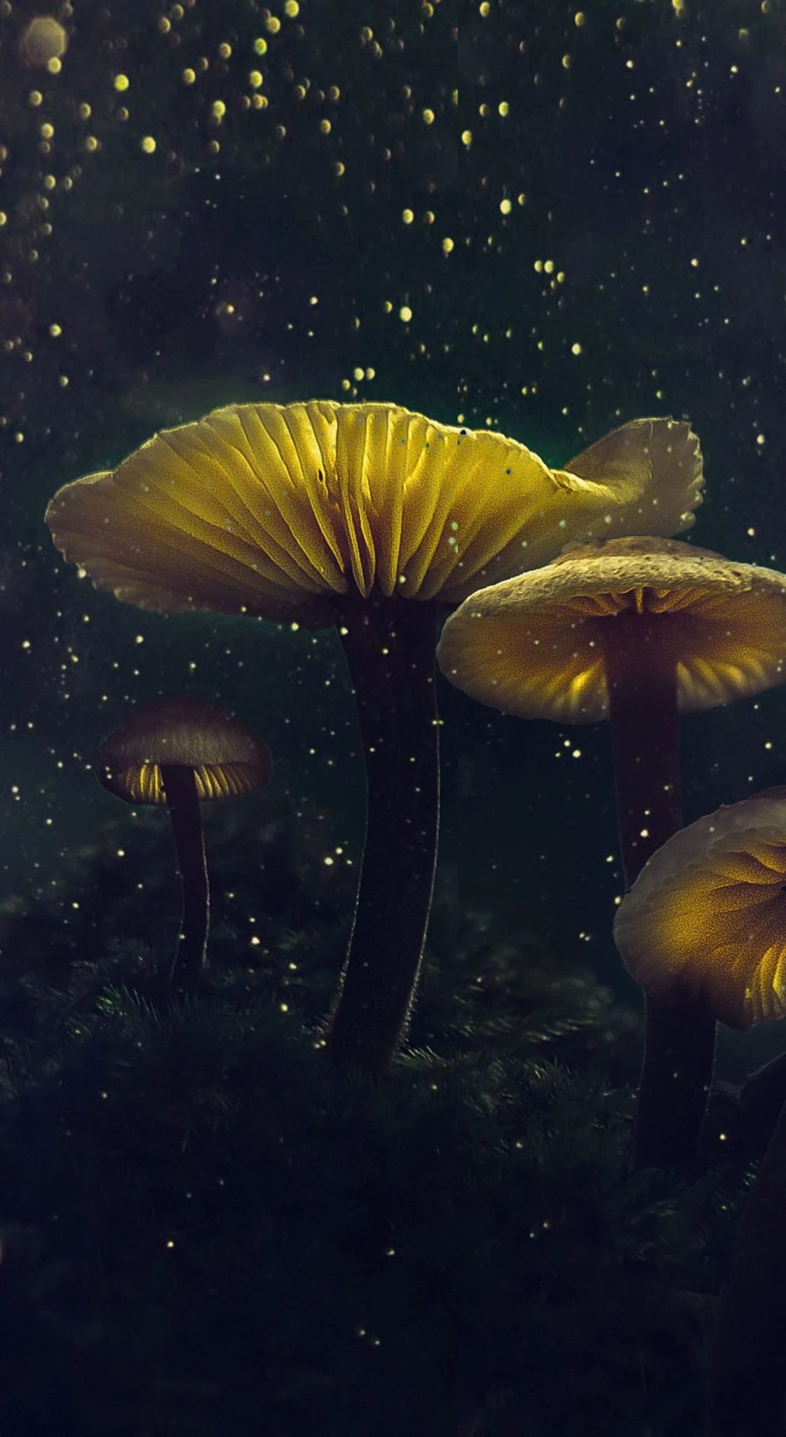 Beyond Cottagecore Delving into the Enchanting World of Mushroom