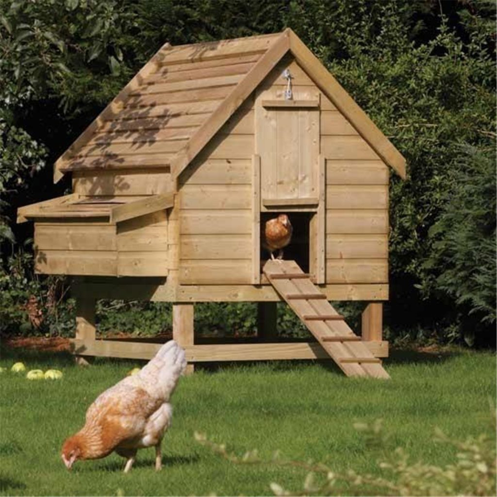The Definitive Guide to Chicken Coop Design: Expert Plans & DIY ...