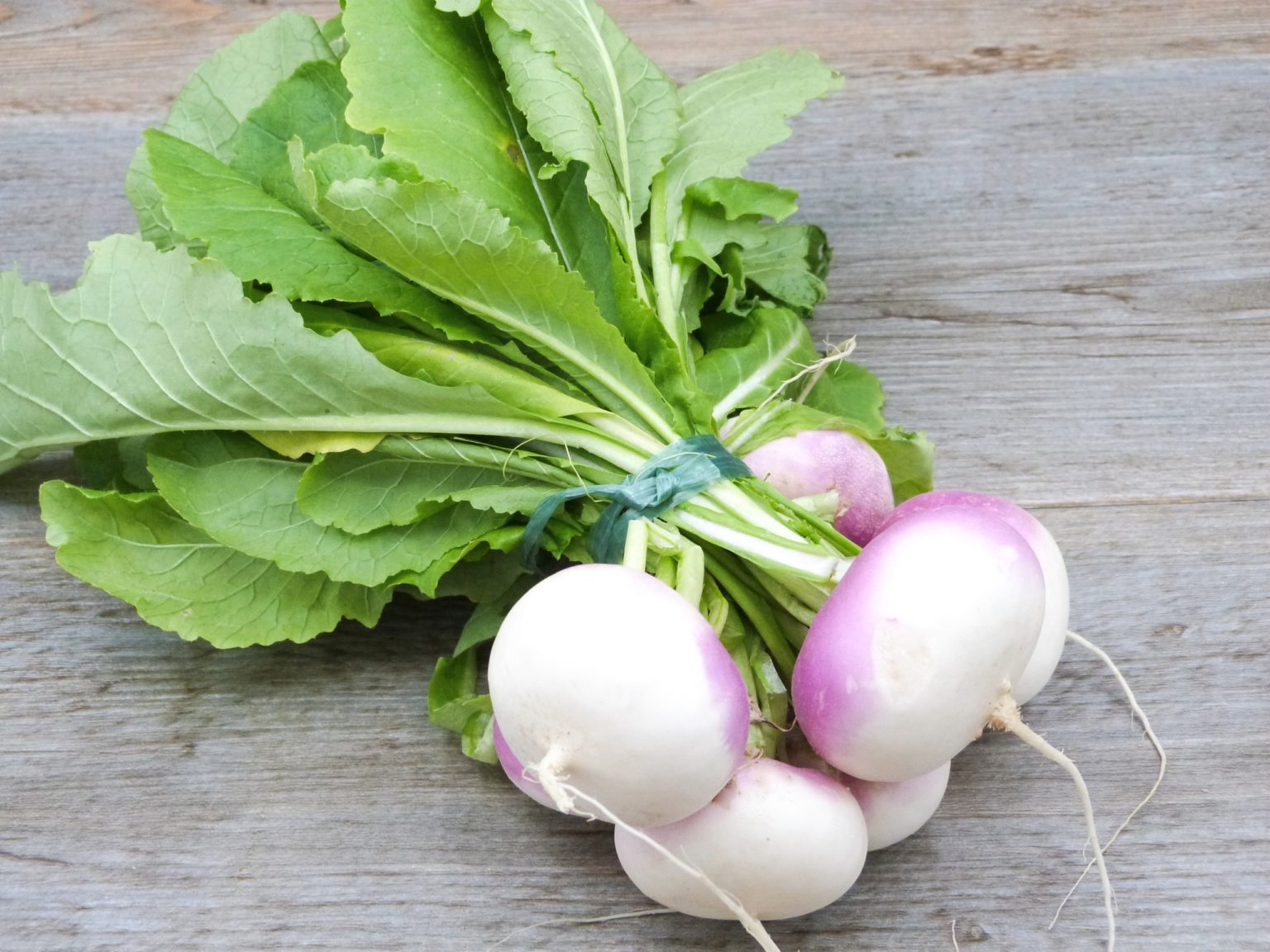 Decoding Navet From Root Vegetable To Cinematic Flop and Everything 