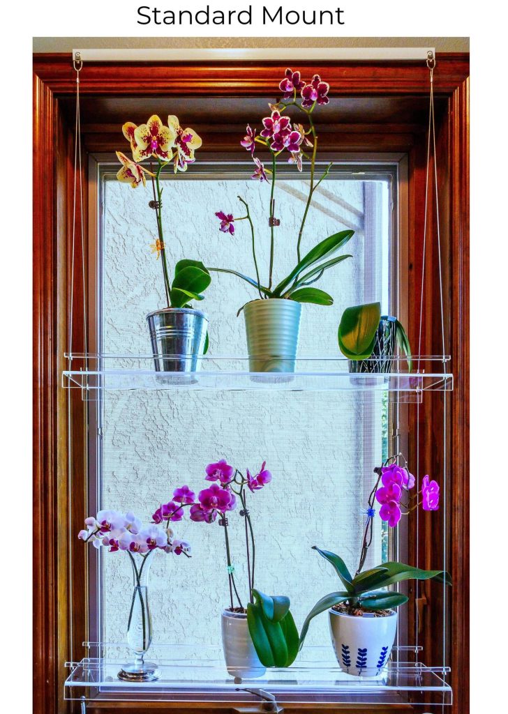 Window Storage Scale The Ultimate Guide to Window Shelves: Styling, DIY & Buying Tips - Wave ...