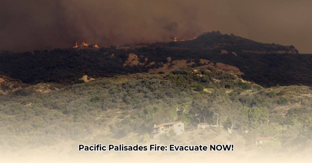Pacific Palisades Fire Evacuation Orders: Real-Time Updates & Resources ...